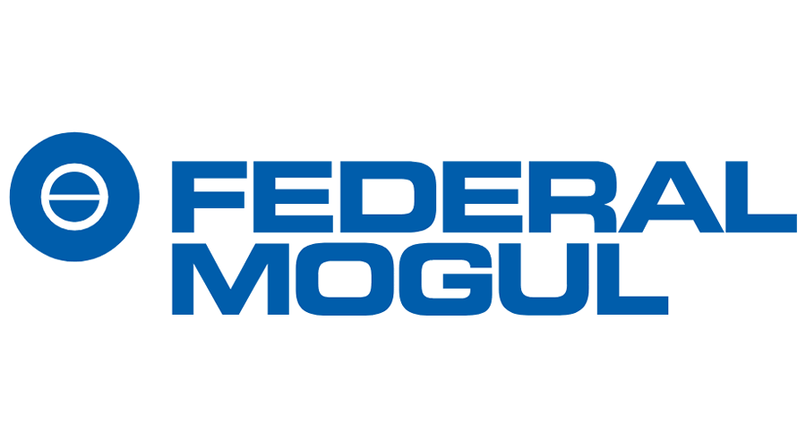 Federal Mogul Vsp India Limited